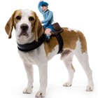 Mailman Dog Rider Costume