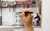 Street Art Walls Notebook-2105