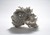 Porcelain Skulls-3672