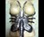 Chesthugger Piece Removed from Corset