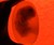 Fetus Soap Closeup