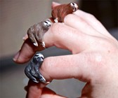 Sloth Rings