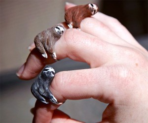 Sloth Rings