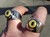 Bobcat Eyeball Ring