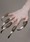 Predator Claw Rings
