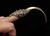 Predator Claw Rings