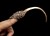 Predator Claw Rings