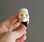 Skull Ring