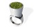 Living Jewelry Grass Ring