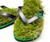 Grass Flip Flops