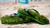 Grass Flip Flops