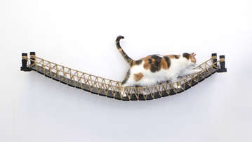 Indiana Jones Cat Bridge Indiana Jones Cat Bridge