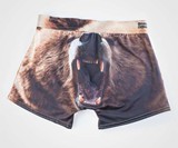 Grizzly Bear Underwear
