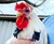 3D Printed T-Rex Chicken Arms