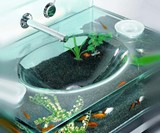 Fish Aquarium Sink