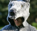 Wolf Coat