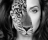 Dude's Top 10 Picks for Animal Reincarnation