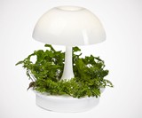 Ambienta Living Table Lamp