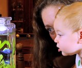 NoClean Desktop Aquarium