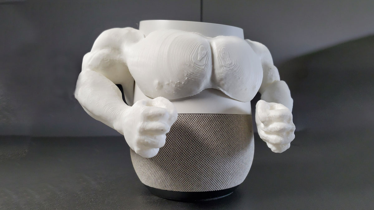 Google Home Muscles Google Home Muscles