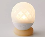 iroha Ukidama Take Vibrator & Bath Light