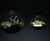 Globe Terrarium Lamps