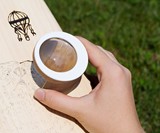 FEBO - Draw with the Sun