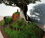 Bilbo Baggins Bonsai Home
