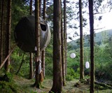 The Tree Tent