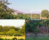 iPhoneography Lens Kit