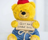 Hobo Bear