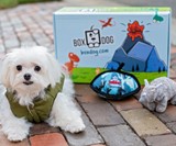 BoxDog Custom Dog Subscription Boxes