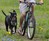 Walky Dog Hands-Free Bicycle Leash