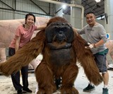Ultra-Realistic Orangutan Costume