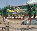 Palm Island Hammock Stand