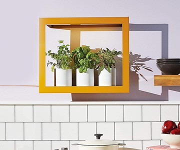 Modern Sprout Growframes - Wall-Mounted Grow Lights Modern Sprout Growframes - Wall-Mounted Grow Lights