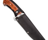 Beauty, Brawn & FREE SHIPPING!