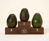 Avocado Ripeness Ranker