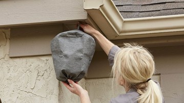 Waspinator Wasp Nest Decoy Waspinator Wasp Nest Decoy