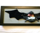 Knitted Dissections