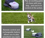 SwiftPaws - Capture the Flag for Dogs