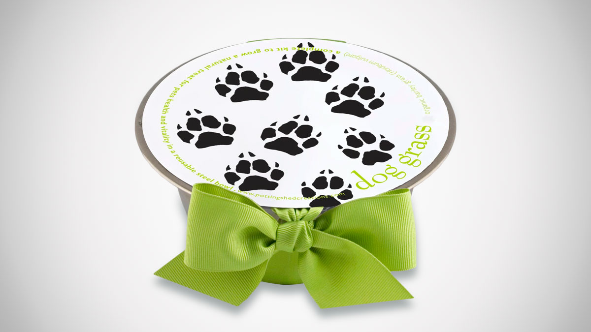 Dog Grass Grow Bowl