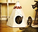 Cardboard Cat Playhouses