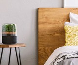 briiv Air Filter - Plant-Based Air Purifier