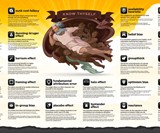 Cognitive Biases Wall Poster