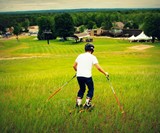 Grasski Grass Skis