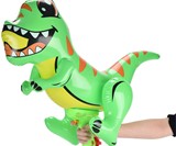 Inflatable Shark Squirt Gun