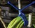 Nite Ize GearTies - Reusable Rubber Twist Ties Nite Ize GearTies - Reusable Rubber Twist Ties