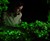 Bioluminescent Firefly Petunias