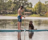 Live Watersports Catamaran Paddleboards